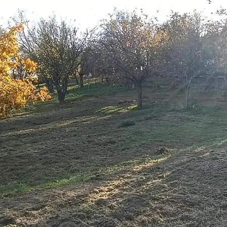 Diodomb Apartmann *